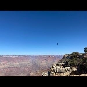 Meet your Posher, Joey